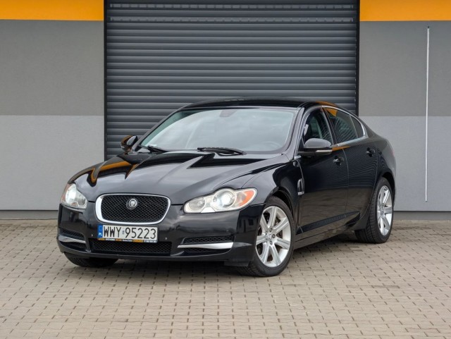 jaguar
