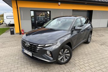 Navi Kamera Ledy Serwis Gwarancja